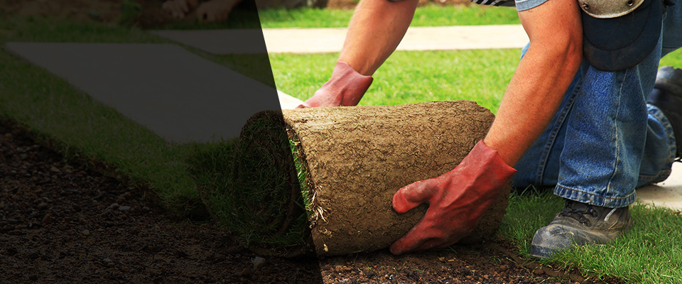 Hope Hull Landscapers
